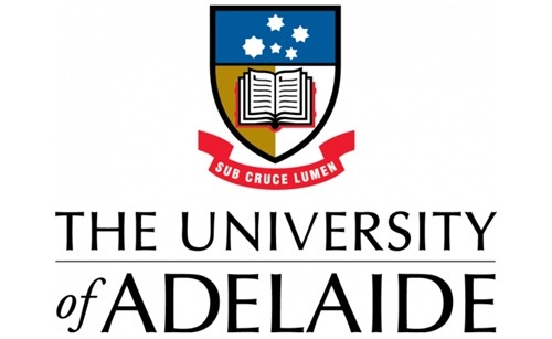 Partner University
